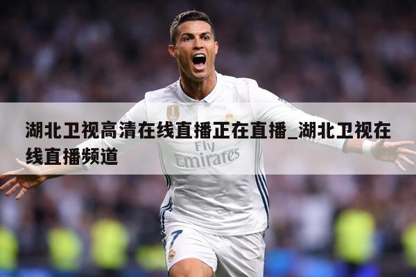湖北卫视高清在线直播正在直播_湖北卫视在线直播频道