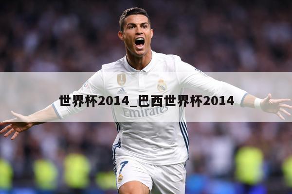 世界杯2014_巴西世界杯2014
