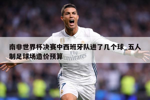南非世界杯决赛中西班牙队进了几个球_五人制足球场造价预算